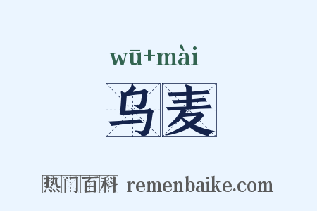 乌麦是什么意思的图片